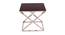 Marvel Side Table (Ss Polish & Matte Walnut, Ss Polish & Matte Walnut Finish) by Urban Ladder - Front View Design 1 - 465913