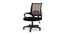 Andros Executive Chair (Black & Brown) by Urban Ladder - Cross View Design 1 - 466111