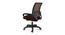 Andros Executive Chair (Brown) by Urban Ladder - Rear View Design 1 - 466145