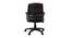 Guiana Office Chair (Brown) by Urban Ladder - Rear View Design 1 - 466363