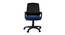 Marquesas Office Chair (Black) by Urban Ladder - Front View Design 1 - 466507