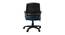 Marquesas Office Chair (Black) by Urban Ladder - Rear View Design 1 - 466565