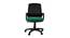 Moorea Office Chair (Brown) by Urban Ladder - Front View Design 1 - 466617