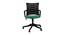 Mayotte Office Chair (Black & Dark Green) by Urban Ladder - Front View Design 1 - 466620