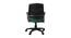 Moorea Office Chair (Brown) by Urban Ladder - Rear View Design 1 - 466683