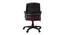 Mururoa Office Chair (Brown) by Urban Ladder - Rear View Design 1 - 466684