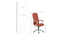 Melville Office Chair (Tan) by Urban Ladder - Design 1 Dimension - 466691