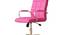 Santiago Office Chair (Pink) by Urban Ladder - Rear View Design 1 - 466777