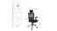 Sable Office Chair (Black) by Urban Ladder - Design 1 Dimension - 466794