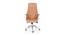 Sverdrup Office Chair (Tan) by Urban Ladder - Front View Design 1 - 466823