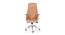 Sverdrup Office Chair (Tan) by Urban Ladder - Front View Design 1 - 466823