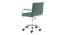 Aymeric Office Chair (Dark Green) by Urban Ladder - Rear View Design 1 - 468089