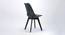 Fabser Dining Chair (Black) by Urban Ladder - Rear View Design 1 - 468319