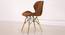 Ignace Dining Chair (Dark Brown) by Urban Ladder - Design 1 Side View - 468405