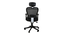 Butterfly High Back Ergonomic Chair (Black) by Urban Ladder - Design 1 Close View - 468929