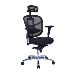 Study In Avanshi Design Williams High Back Ergonomic Chair (Black)