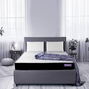 Double Bed Mattress Design Active Pocket 6 inch Pocket Spring Mattress (Queen Mattress Type, 78 x 60 in (Standard) Mattress Size, 6 in Mattress Thickness (in Inches))