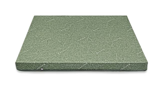 GreenSleep Restopedic 5 inch Coir + Latex Mattress (King Mattress Type, 78 x 72 in (Standard) Mattress Size, 5 in Mattress Thickness (in Inches)) by Urban Ladder - Front View Design 1 - 469149