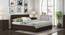 Cavinti Storage Bed (Queen Bed Size, Dark Walnut Finish, Box Storage Type) by Urban Ladder - Design 1 Full View - 469416
