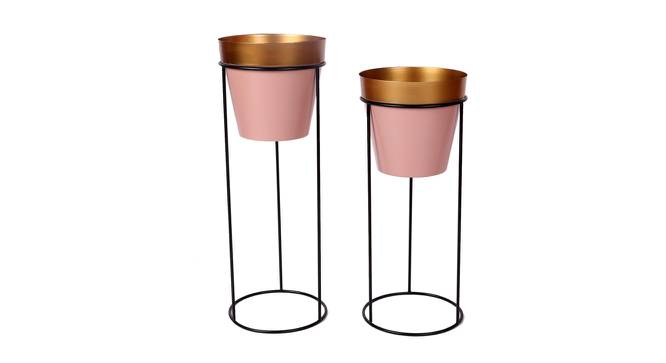 Deanna Planter Set of 2 (Gold, Pink & Matt Black) by Urban Ladder - Front View Design 1 - 