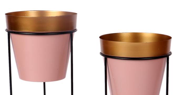 Deanna Planter Set of 2 (Gold, Pink & Matt Black) by Urban Ladder - Close View Design 1 - 