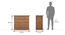 Tuscany Teak Wood Chest of Drawers (Natural, Latin American Teak Finish) by Urban Ladder - Design 1 Dimension - 470179