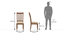Tuscany Teak Wood Dining Chair - Set of 2 (Natural, Latin American Teak Finish) by Urban Ladder - Design 1 Dimension - 470185