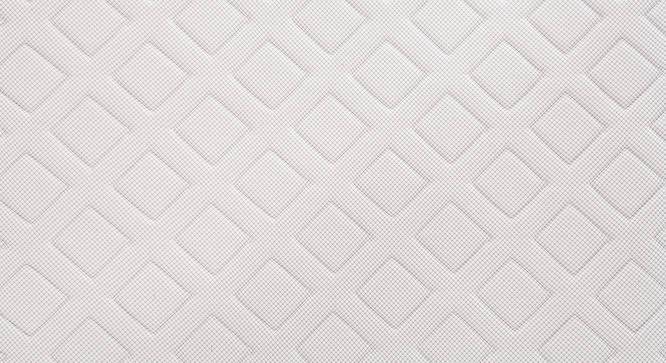 Theramedic Memory Foam Mattress with Latex (Queen Mattress Type, 78 x 60 in (Standard) Mattress Size, 8 in Mattress Thickness (in Inches)) by Urban Ladder - Front View Design 1 - 470245