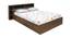 Torrie Storage Bed (Queen Bed Size, Walnut Brown) by Urban Ladder - Cross View Design 1 - 470390
