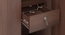 Hilton 3 Door Wardrobe (1 Drawer Configuration, With Mirror, Spiced Acacia Finish, With Lock) by Urban Ladder - Image 2 Design 1 - 