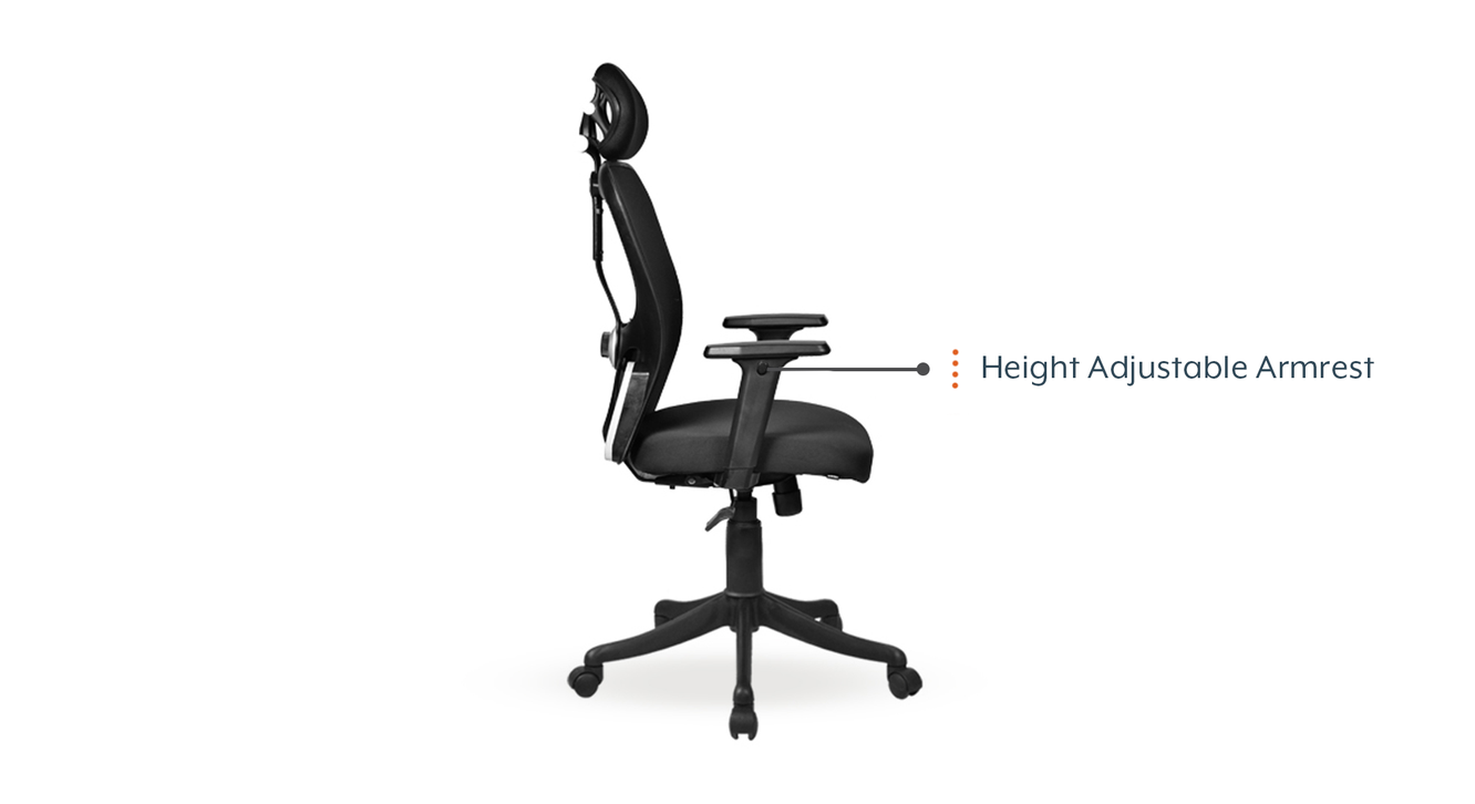 Urban ladder hotsell eisner study chair