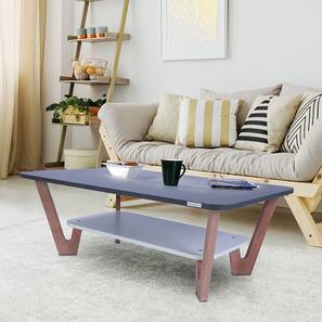 White Chair Design Rectangular Engineered Wood Coffee Table in Frosty White and Graphite Grey Colour (Matte Finish, Frosty White & Graphite Grey)