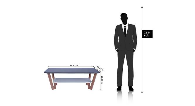 Rectangular Engineered Wood Coffee Table in Frosty White (Matte Finish, Frosty White & Graphite Grey) by Urban Ladder - Design 1 Dimension - 474401