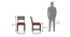 Alaca Dining Chair - Set of 2 (Lava, Mango Mahogany Finish) by Urban Ladder - Design 1 Dimension - 474488
