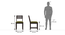 Alaca Dining Chair - Set of 2 (Olive, Mango Mahogany Finish) by Urban Ladder - Design 1 Dimension - 474489