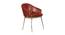 Tyson Leather Dining Chair in Multicolor by Urban Ladder - Cross View Design 1 - 