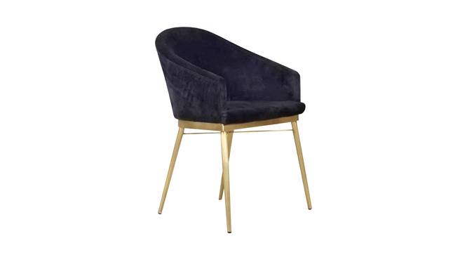 Malik Foam Dining Chair in Multicolour by Urban Ladder - Cross View Design 1 - 