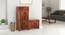 Aldo Solid Wood 36 pair Shoerack - with Seating in Honey Matte finish (HONEY) by Urban Ladder - Full View Design 1 - 475494