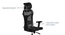 Dewey High Back Study Chair (Black) by Urban Ladder - Rear View Design 1 - 