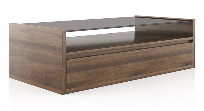 Alita Storage Coffee Table (Full Drawer Configuration, Warm Walnut Finish) by Urban Ladder - Cross View Design 1 - 