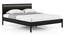 Gaku Queen Size Non-storage Bed (Charcoal Black, Semi Gloss Finish) by Urban Ladder - Cross View Design 1 - 476887