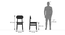 Gaku Dining Chair - Set of 2 (Charcoal Black) by Urban Ladder - Design 1 Dimension - 476902