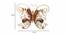Butterfly Multicolor Metal Wall Accent (Multicolor) by Urban Ladder - Design 1 Dimension - 477306