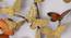 Cite Tree Multicolor Metal Wall Accent (Multicolor) by Urban Ladder - Rear View Design 1 - 477695