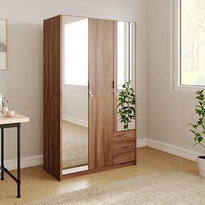 Long Single Door Wardrobe Design Gulliver 3 Door  3 Door Wardrobe (Brown)