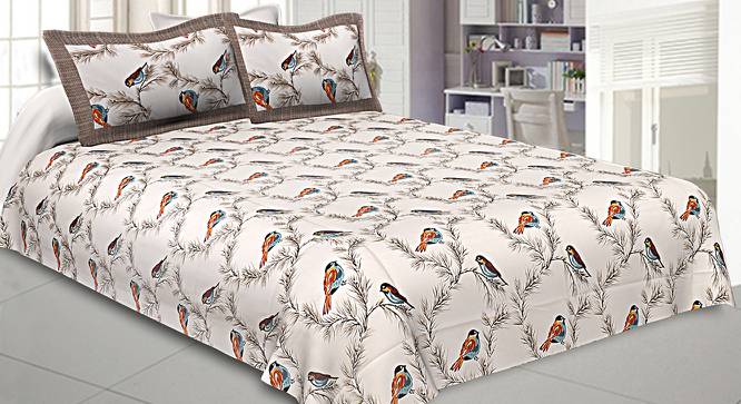 Jordan Brown Abstract 150 TC Cotton Double Size Bedsheet with 2 Pillow Covers (Brown, Double Size) by Urban Ladder - Front View Design 1 - 478602