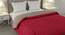 Falguni Red-Off White Solid 250 GSM Microfiber Double Bed Comforter (Double Size, Red & Off White) by Urban Ladder - Cross View Design 1 - 480388