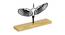 Ready to Flying Eagle Sculpture Black Metal Figurine (Black) by Urban Ladder - Cross View Design 1 - 480621