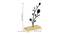 Flower on Plants Sculpture Black Metal Figurine (Black) by Urban Ladder - Design 1 Dimension - 480664