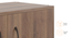 Alex 9 Pair Shoe Cabinet (Classic Walnut Finish) by Urban Ladder - Design 1 Close View - 480874